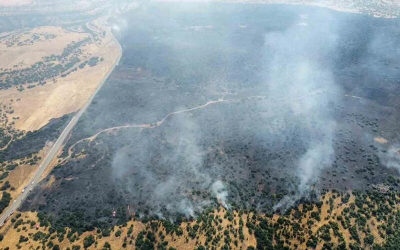 Elazığ'daki Orman Yangını Kontrol Altına Alındı